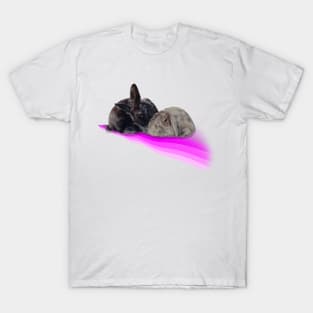 The most adorable bunny kisses! T-Shirt